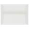 JAM Paper A9 Clear Translucent Vellum Invitation Envelopes, 25ct.